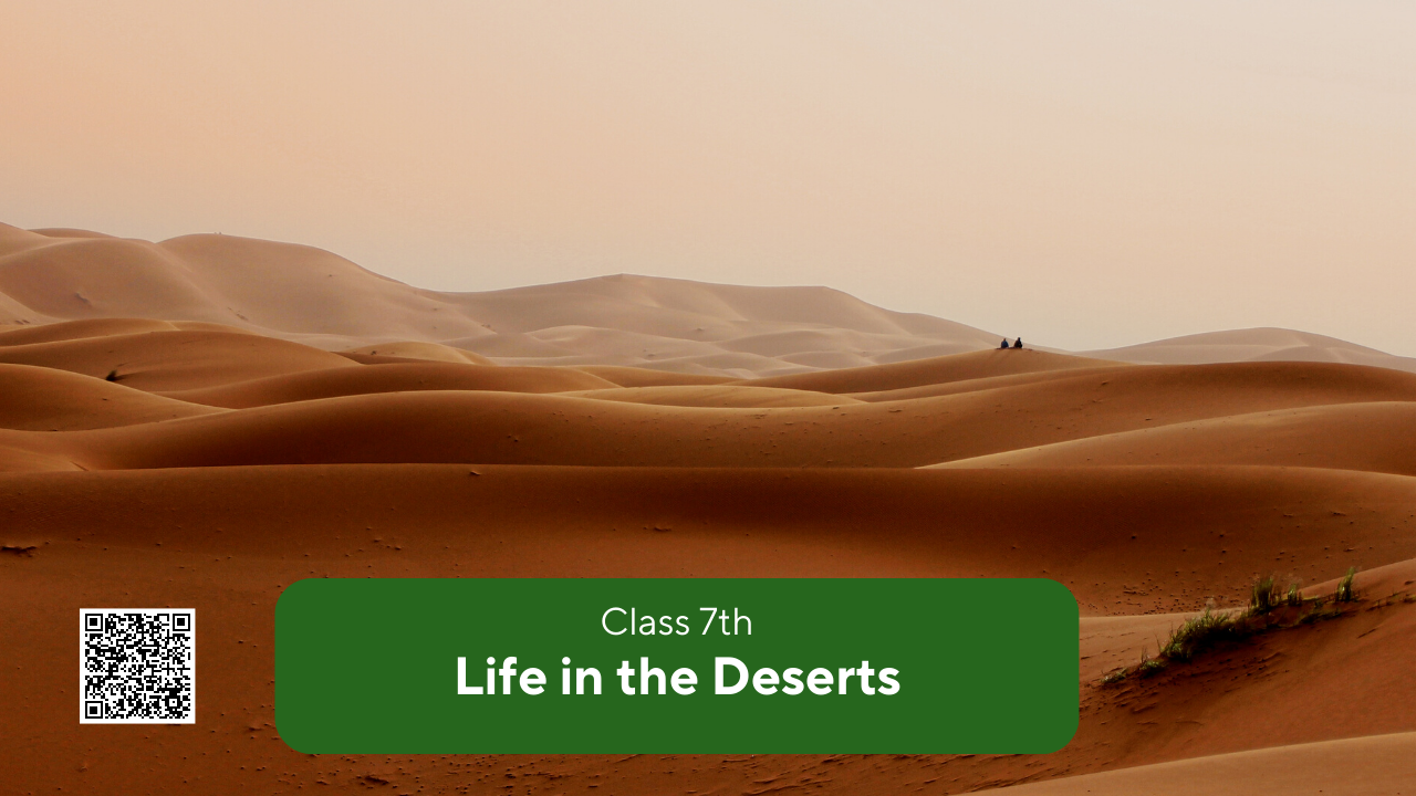 NCERT Solutions for Class 7 Social Studies Chapter 9 – Life in the Deserts