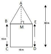 Ncert solution class 8 chapter 11-15