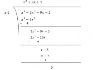 Ncert solutions class 9 chapter 2-2